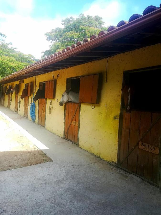 Quinta Do Fijo Villa Arcos de Valdevez Buitenkant foto