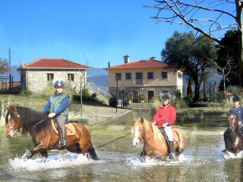 Quinta Do Fijo Villa Arcos de Valdevez Buitenkant foto